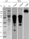 FIG. 6.