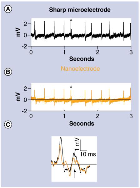 Figure 6