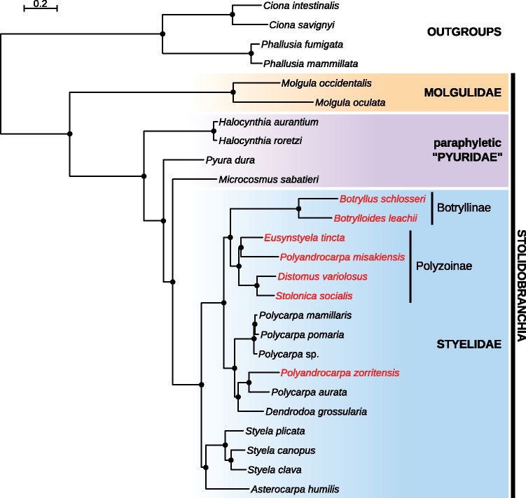 Fig. 3.