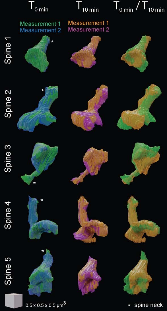 Extended Data Fig. 7