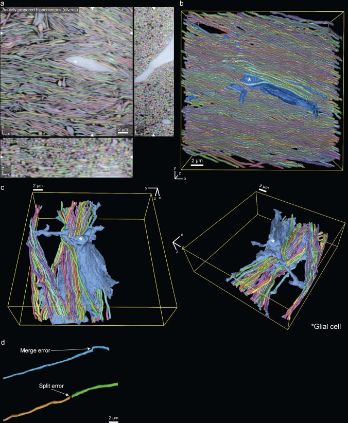 Extended Data Fig. 4