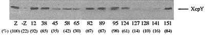 FIG. 5.