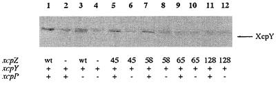 FIG. 6.