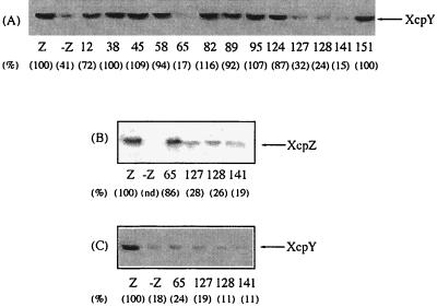 FIG. 2.