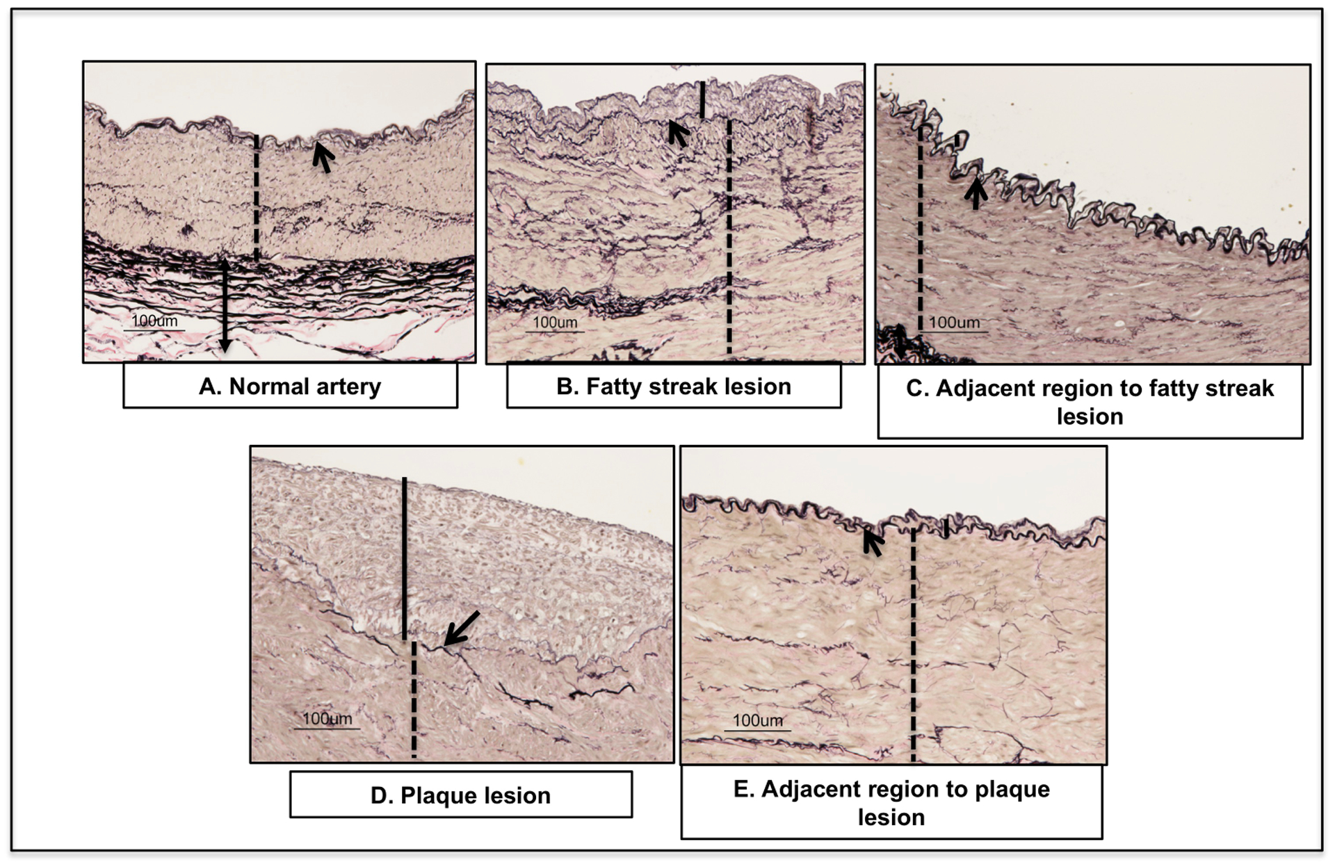 Figure 2: