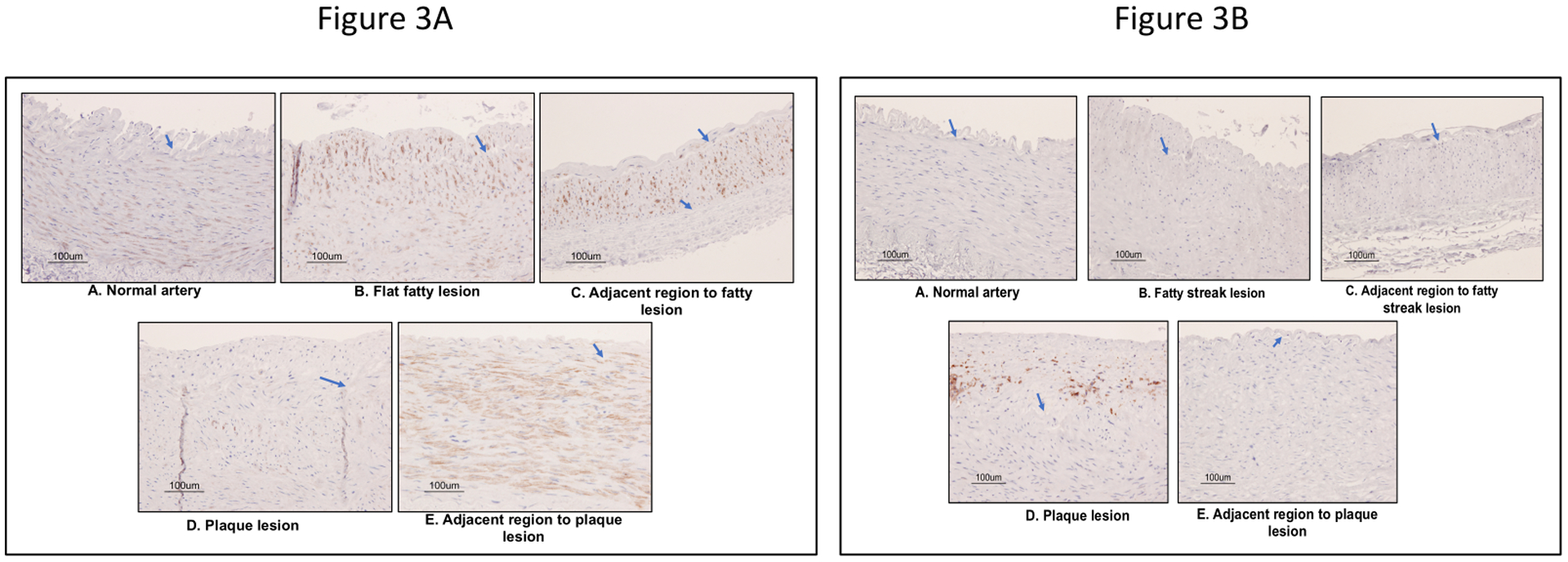 Figure 3: