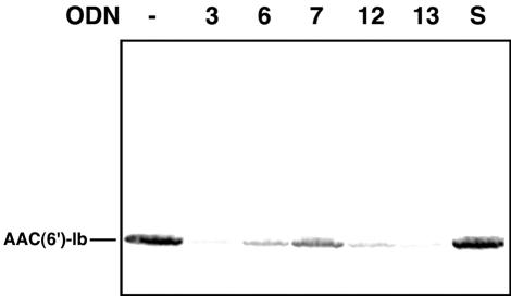 FIG. 6.