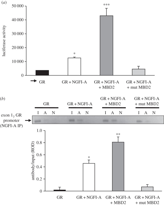 Figure 7.