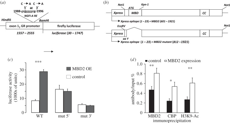 Figure 5.