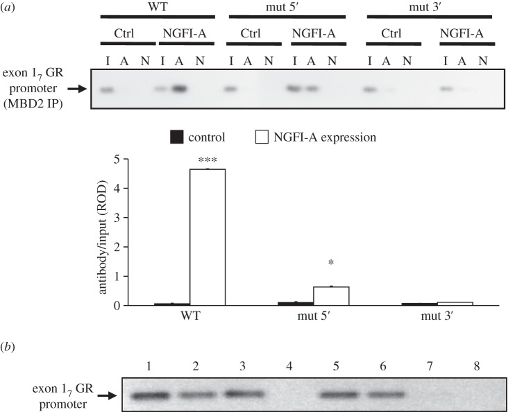 Figure 6.