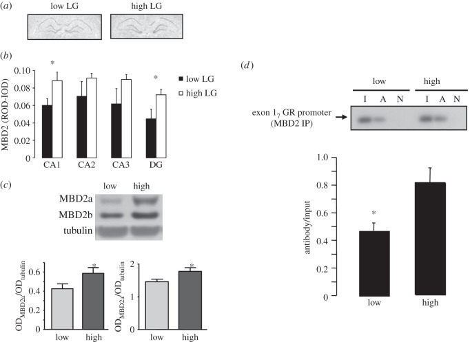 Figure 1.