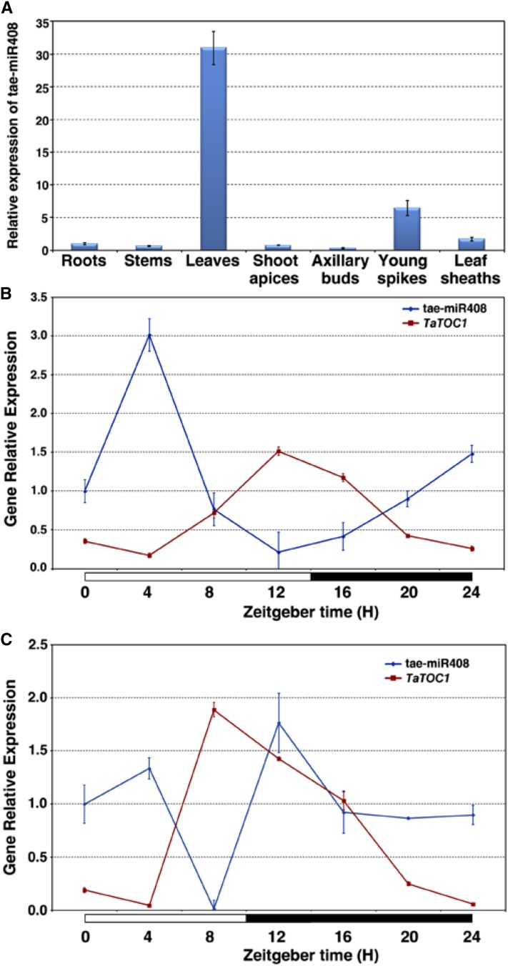 Figure 6.