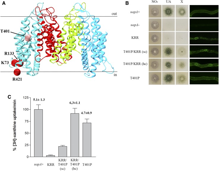 Figure 6