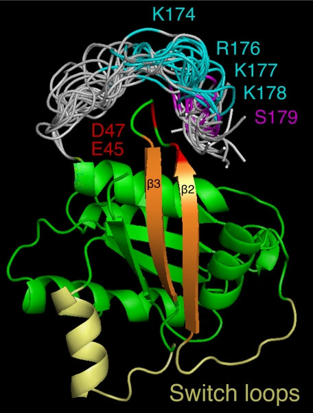 FIGURE 7.