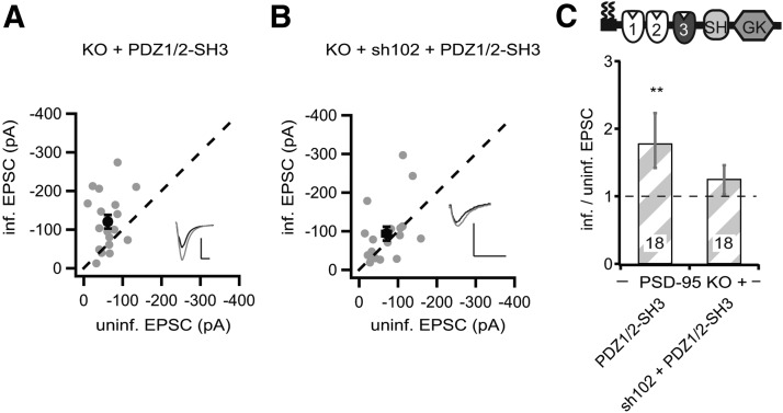 Figure 10.