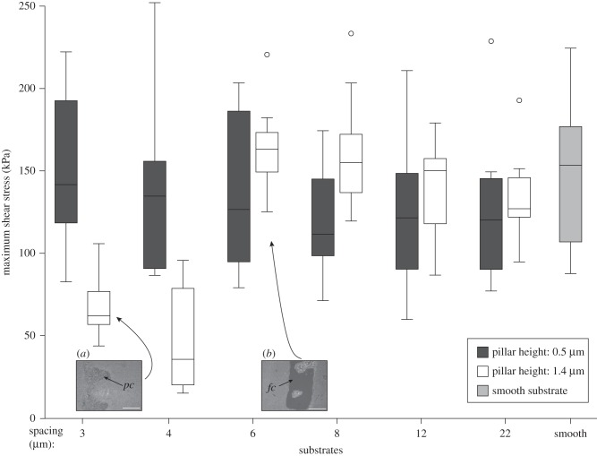 Figure 7.