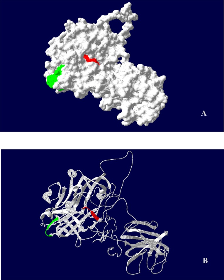 Fig 5