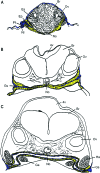 Fig. 3