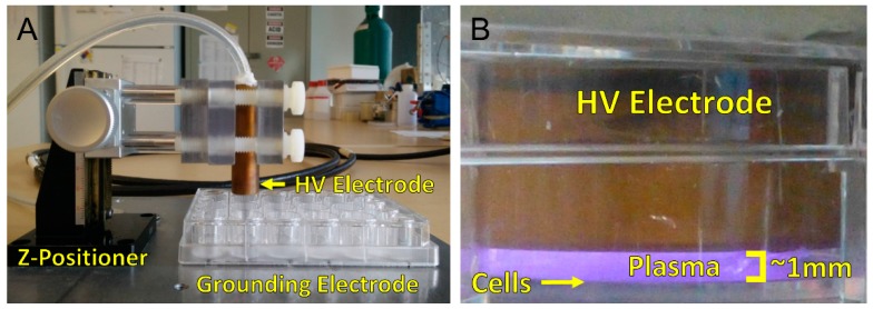 Figure 9