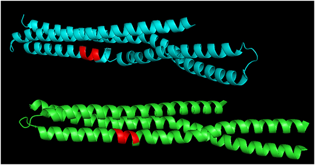 Figure 3: