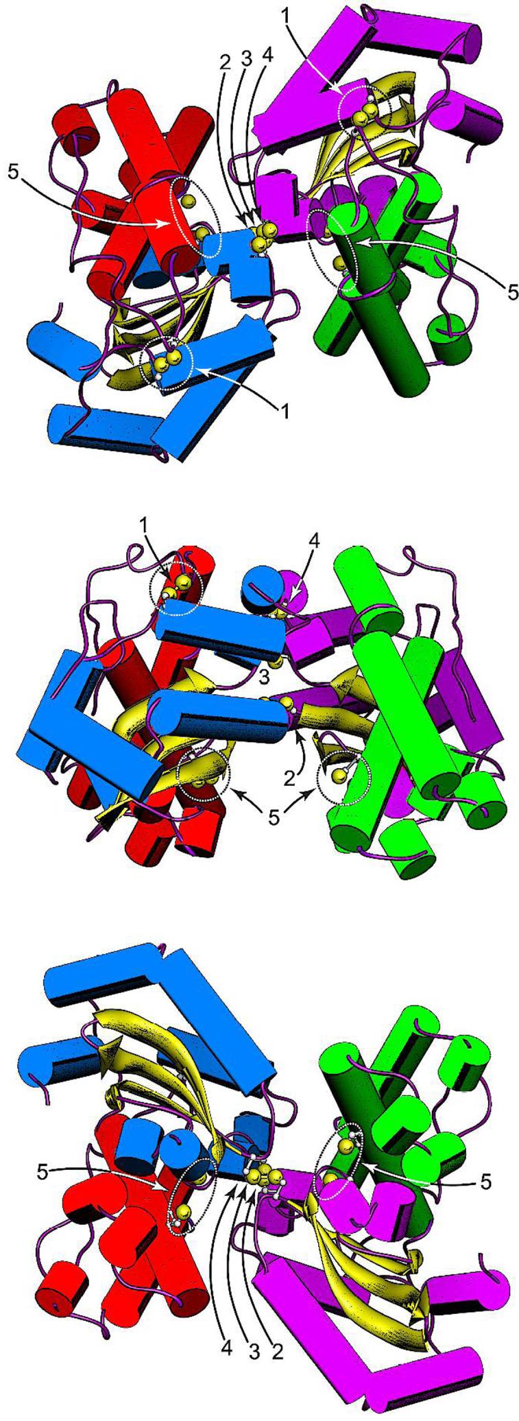 Figure 5