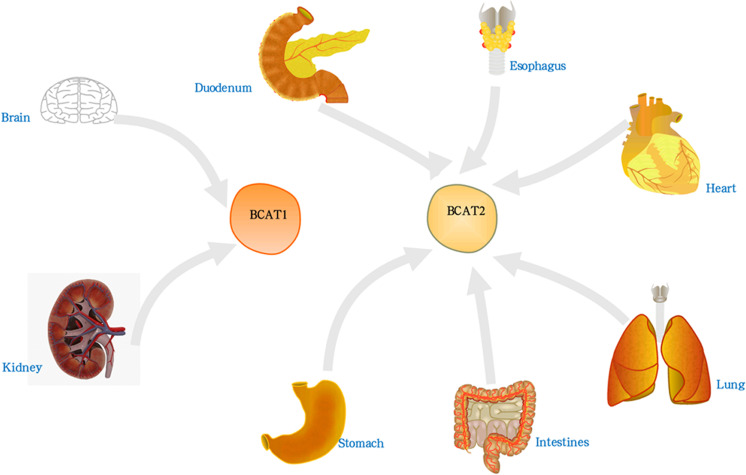 Figure 2