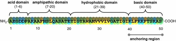 Fig. 2