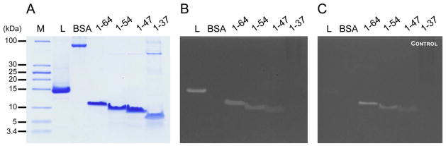 Fig. 5