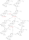 Scheme 2