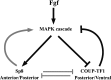 Figure 9.