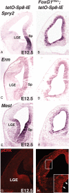 Figure 8.