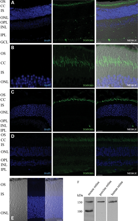 Figure 1.