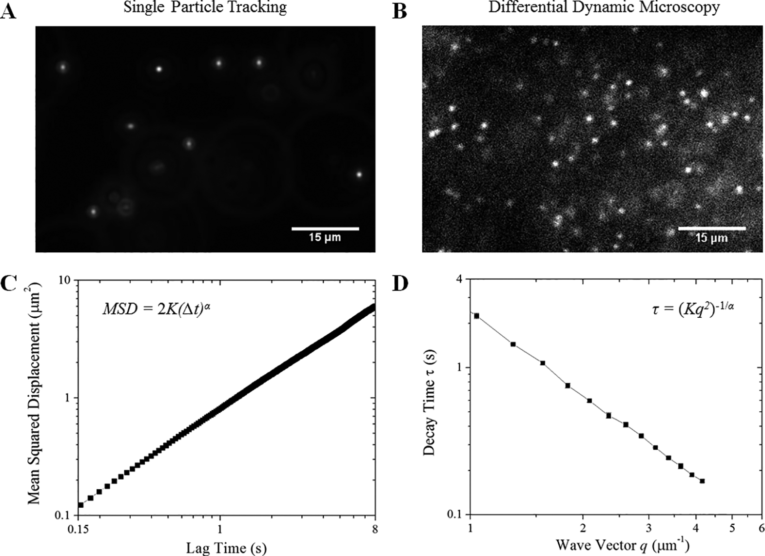 Figure 1: