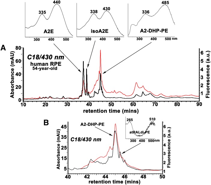 Fig. 6.