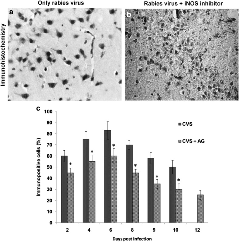 Fig. 6