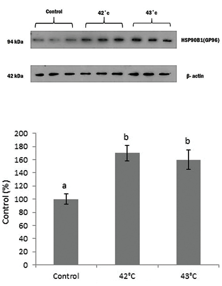 Fig.5