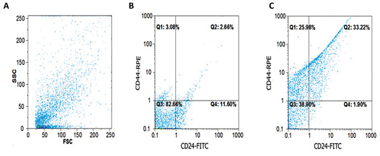 Fig.3