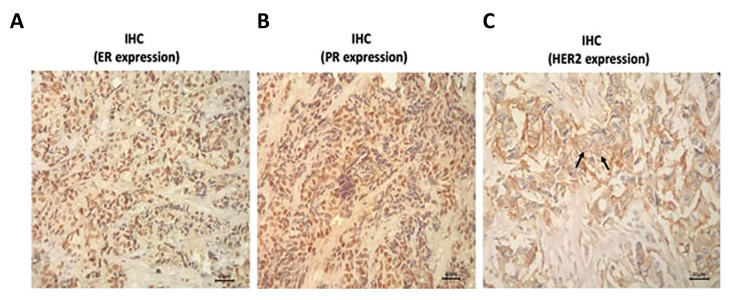 Fig.1