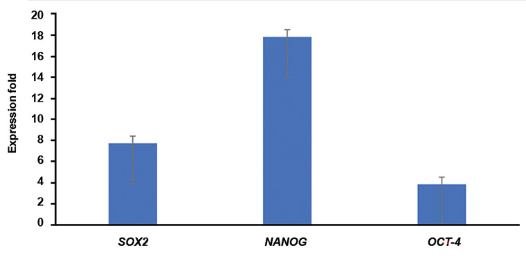 Fig.4