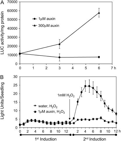 Figure 5.