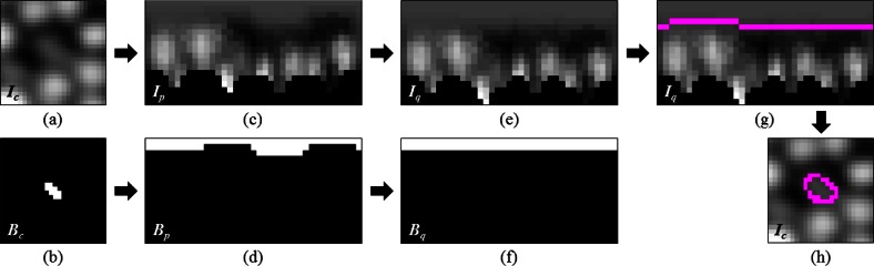 Fig. 1