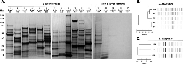 FIG 2