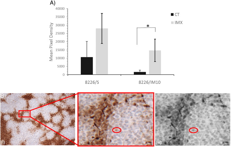 Figure 5