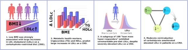 Graphical Abstract