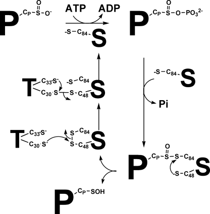 FIGURE 7.