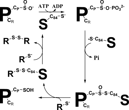 FIGURE 1.