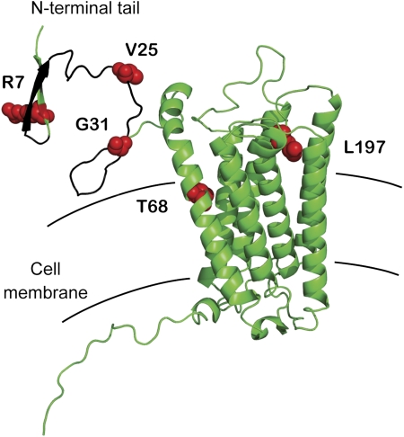 FIG. 3.