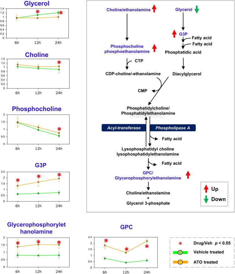 Figure 2.