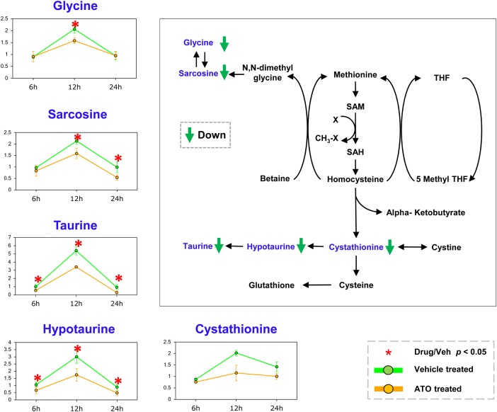 Figure 3.