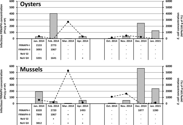 FIG 3